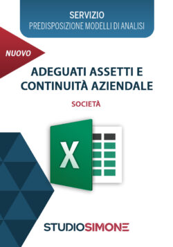 Adeguati assetti e continuità aziendale - Società